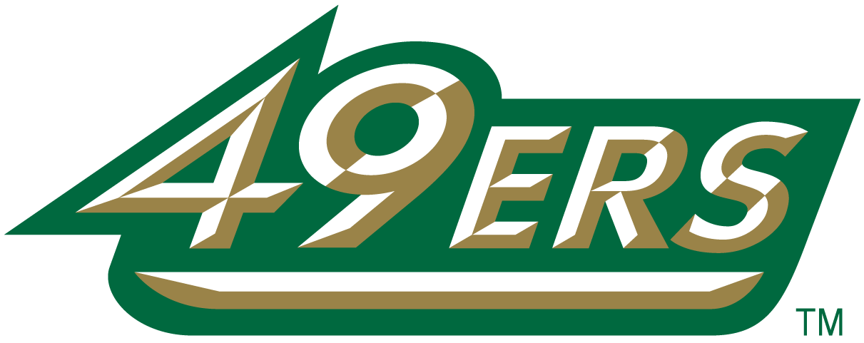 Charlotte 49ers 1998-Pres Wordmark Logo 03 iron on paper